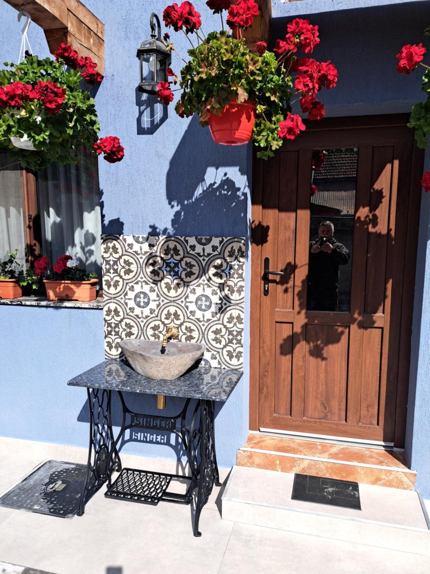 Casa Rustica Saceleana Villa Bagian luar foto