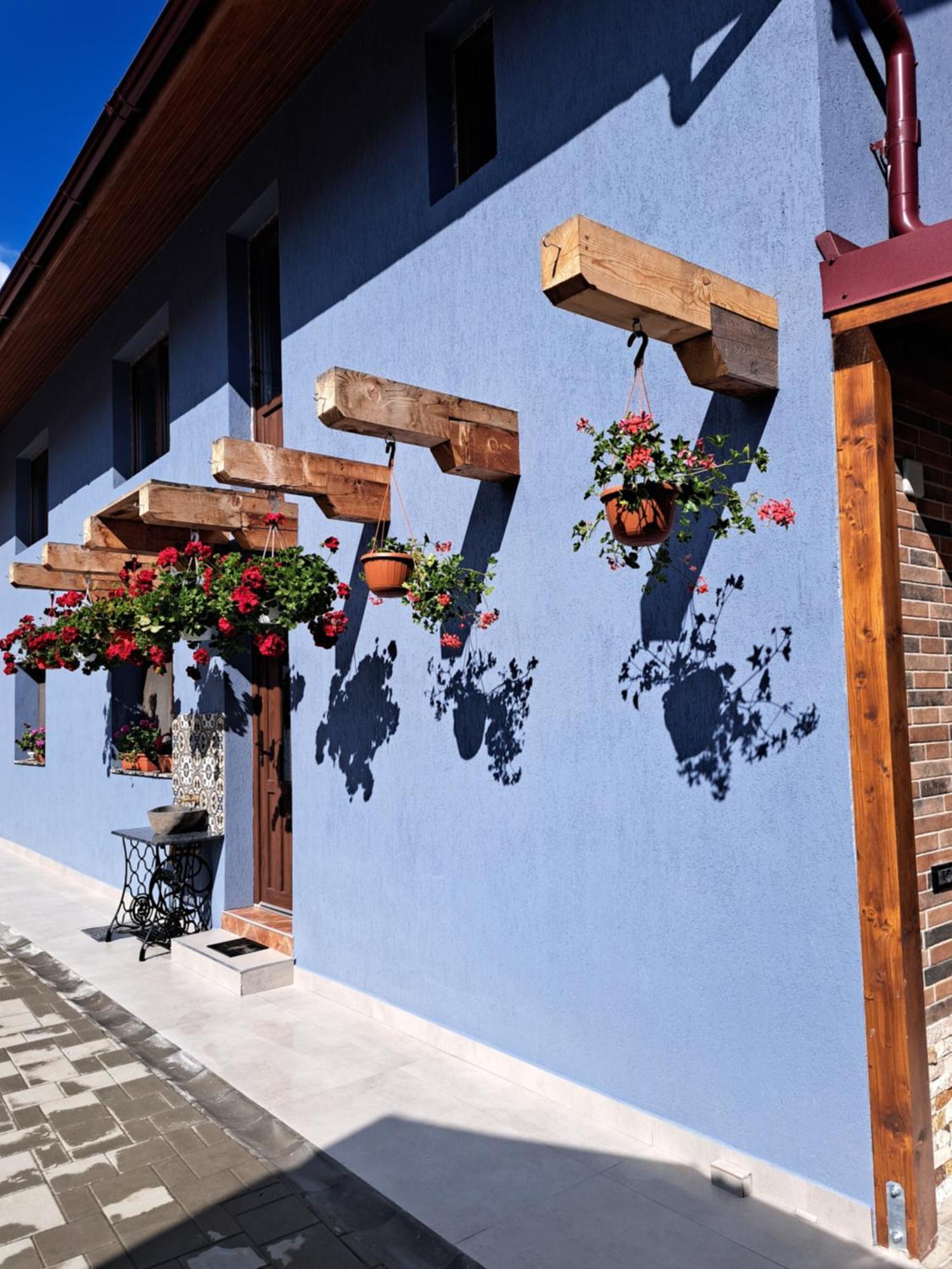 Casa Rustica Saceleana Villa Bagian luar foto